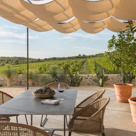 A glass of red wine sits on a patio table overlooking a vineyard