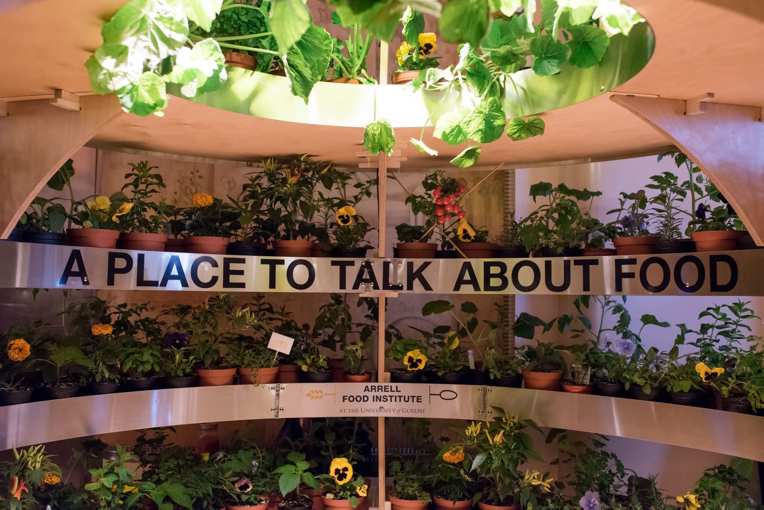A curving plant display with the words "A place to talk about plants" written across it.