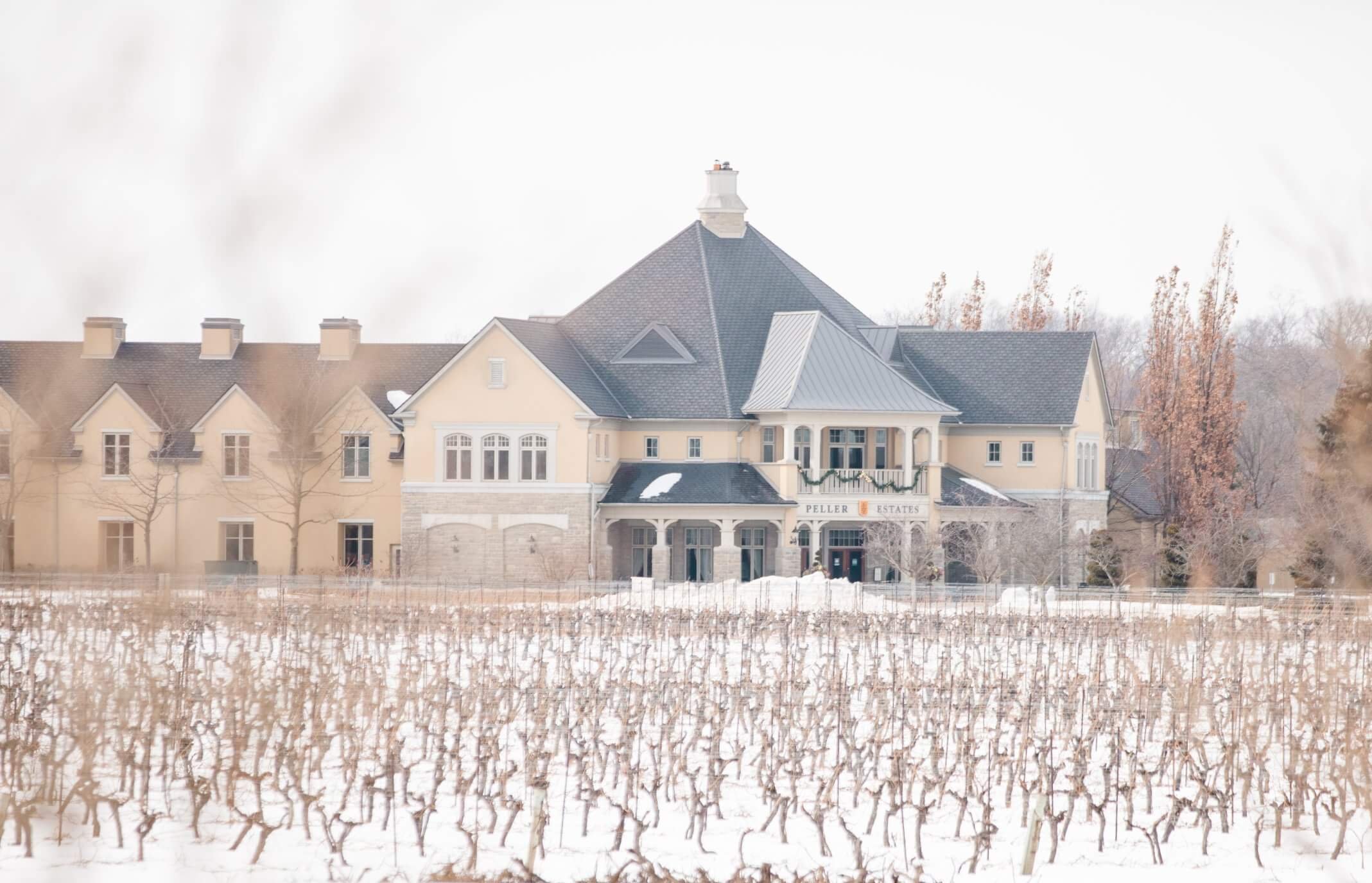 A snowy estate and vineyard