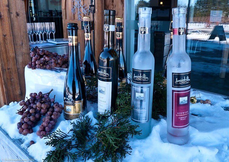Bottles of icewine in snow