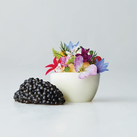 A white egg with caviar and flowers on a grey background