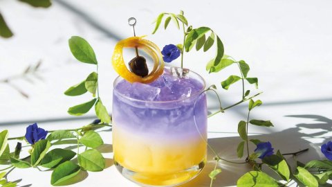 The Flower-Infused Cocktail: Flowers with a Twist