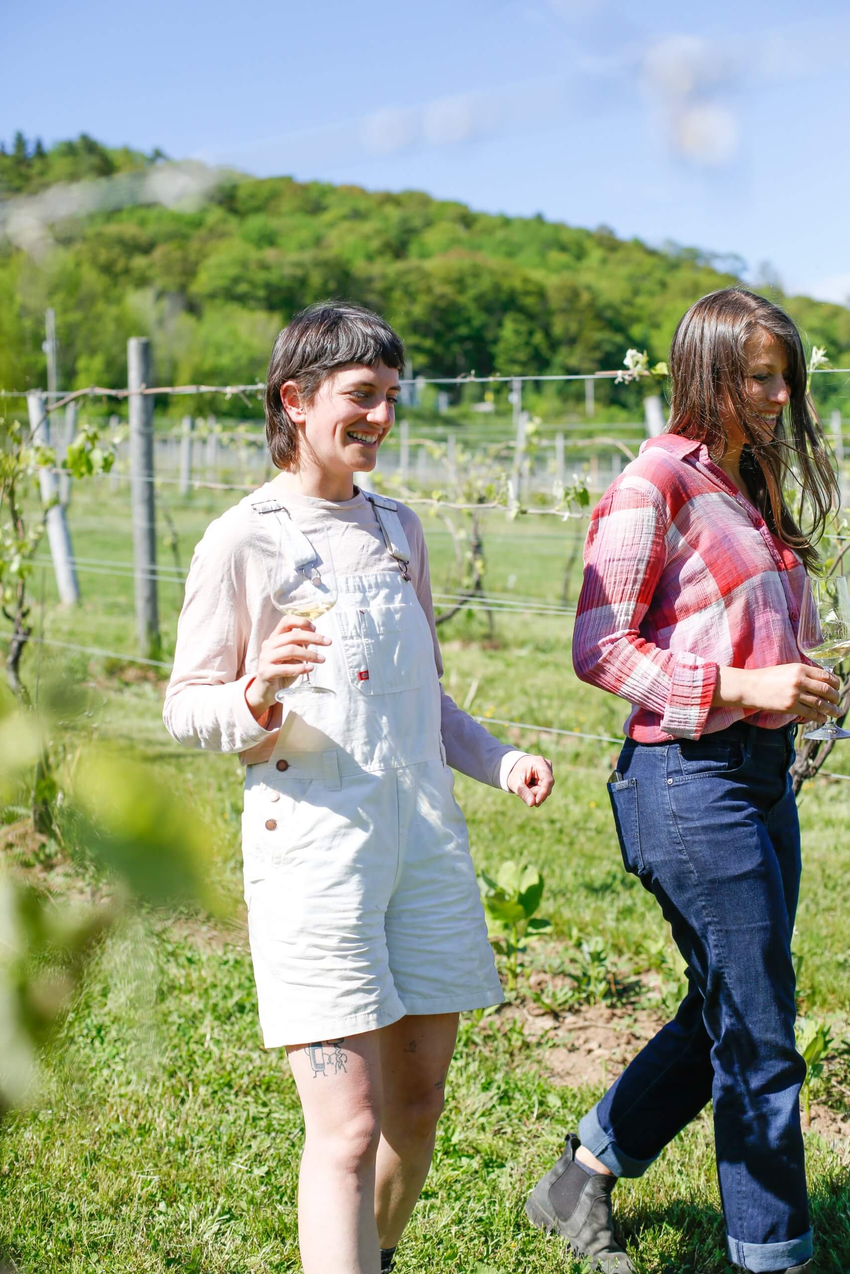 Two women laughing with glasses of wine in a vineyard.
