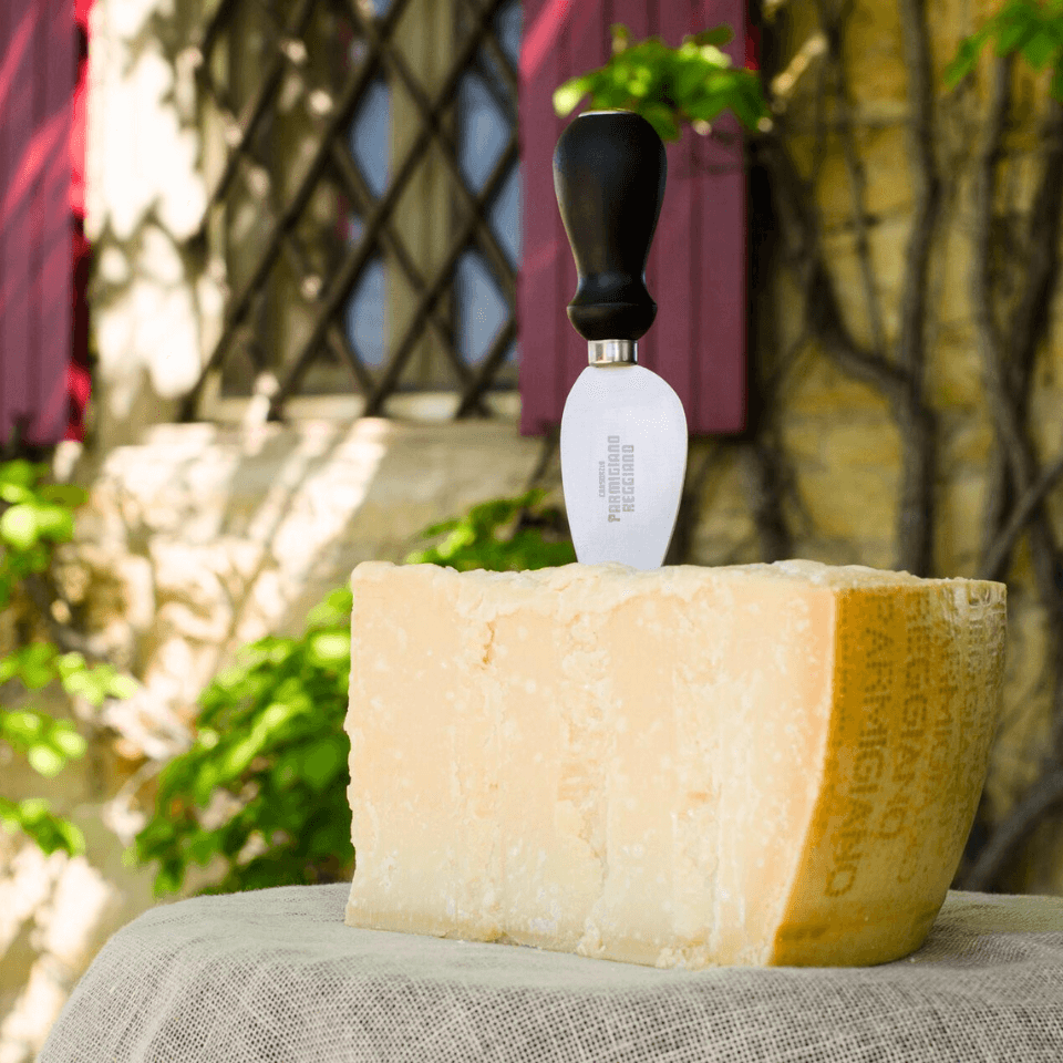 wedge of parmigiano reggiano cheese with knife