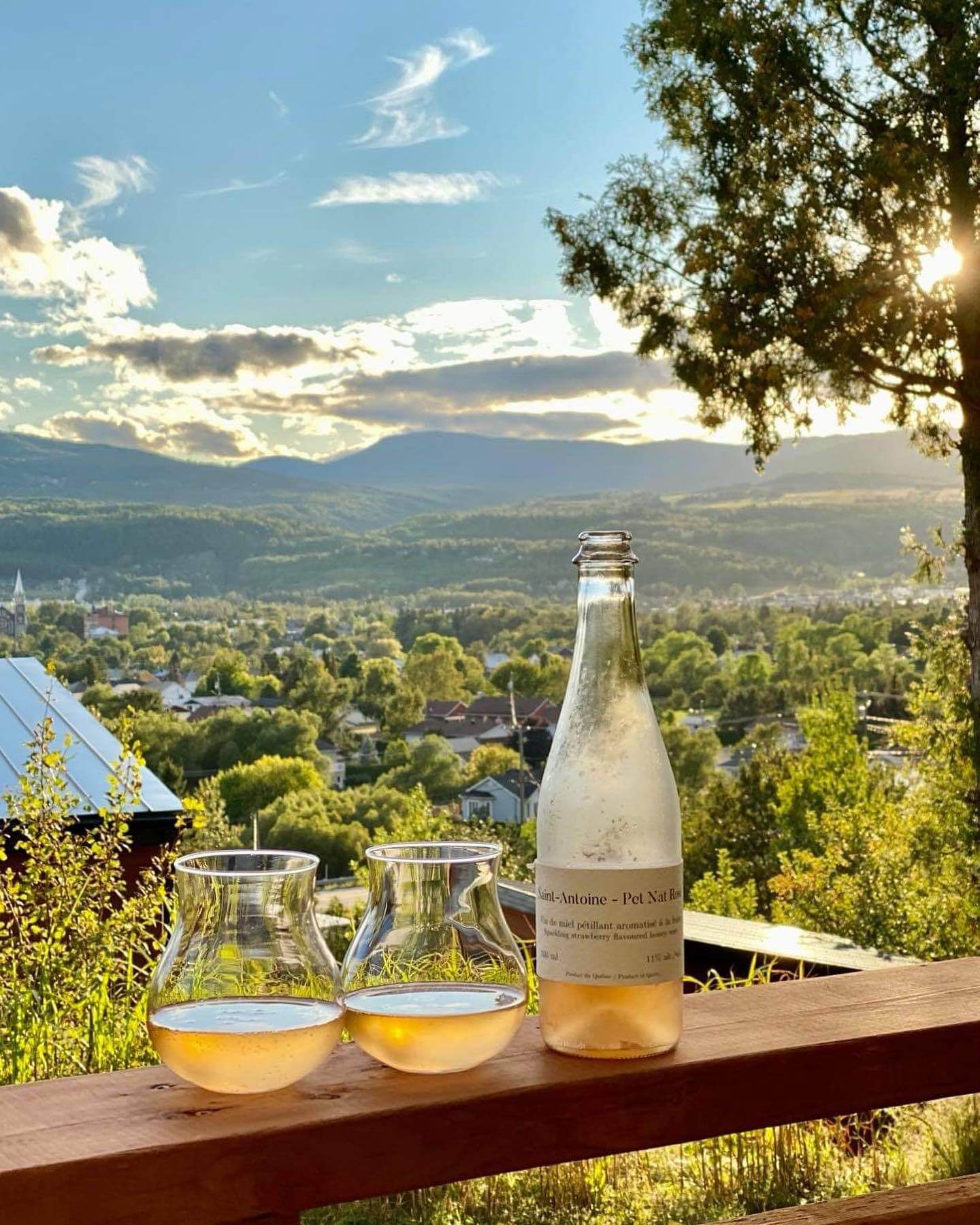 Two classes of wine and a bottle on a balcony railing overlooking a sprawling green view