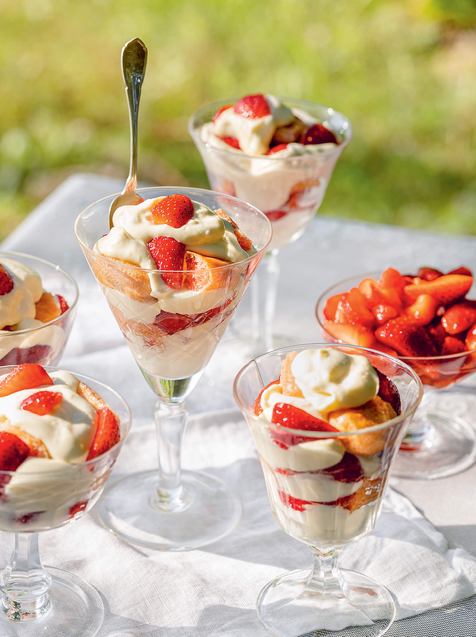 Strawberry Tiramisu With Marsala Recipe | Elle Gourmet