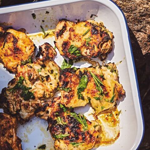 A container filled with grilled chicken sits on a rock outside