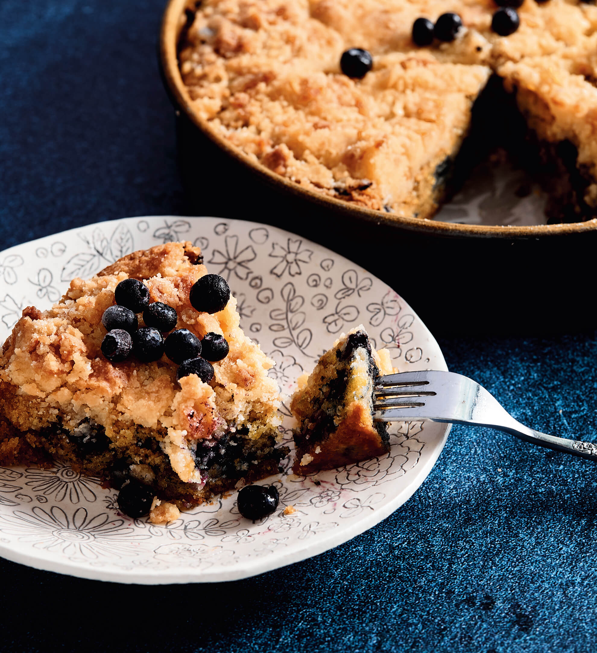 Blueberry-Apple Sour Cream Coffee Cake - Queen of My Kitchen