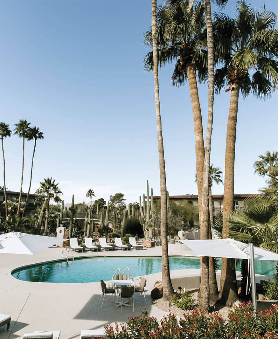 An outdoor pool in the desert with sun loungers and palm trees visible around it
