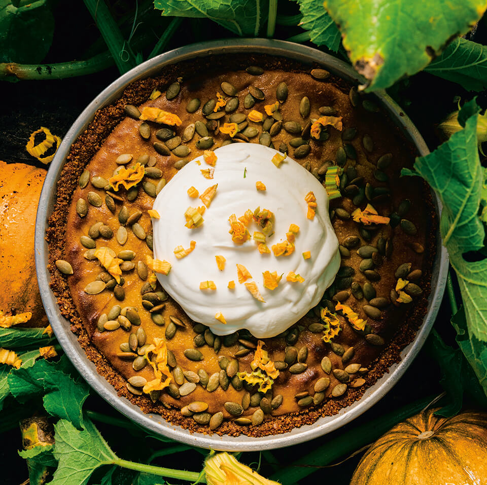 A pie topped with seeds and cream in a butternut squash patch