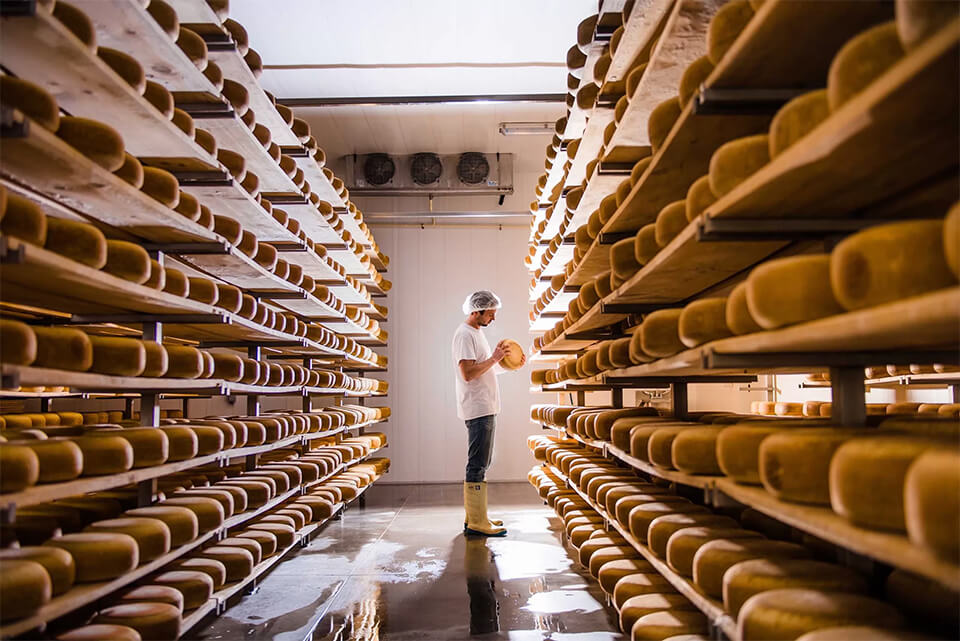 A man stands in front of shelves lined with wheels of cheese