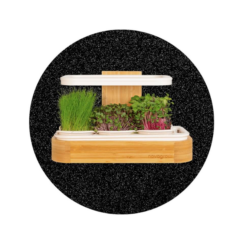 https://ellegourmet.ca/wp-content/uploads/2023/11/novagrow-indoor-garden-single-black.jpg