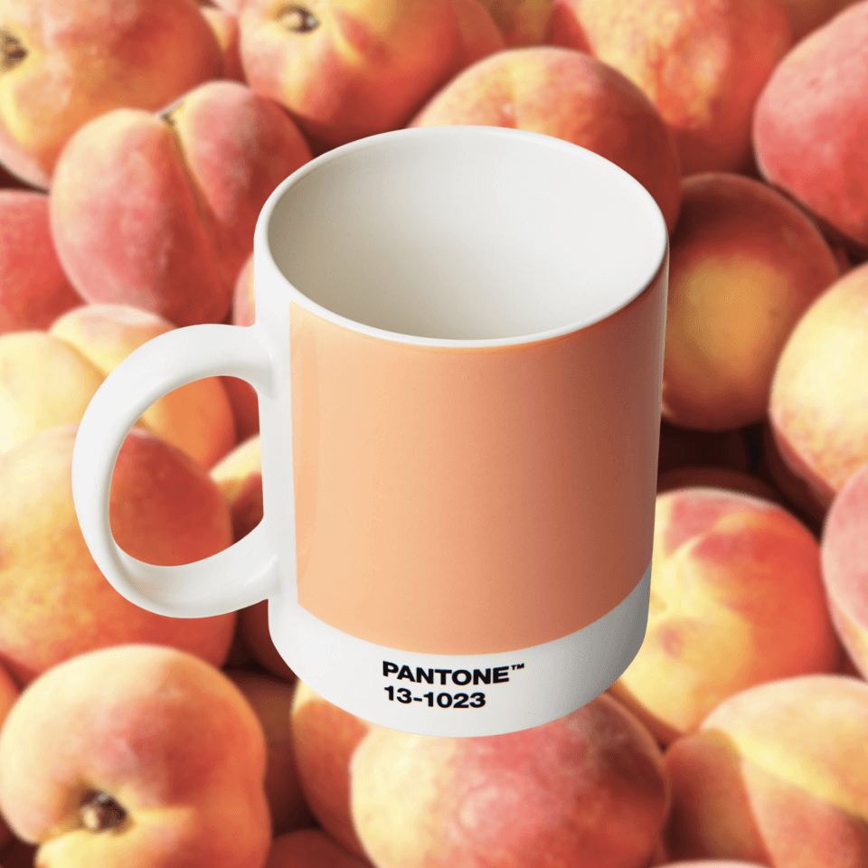 mug sitting against peach background