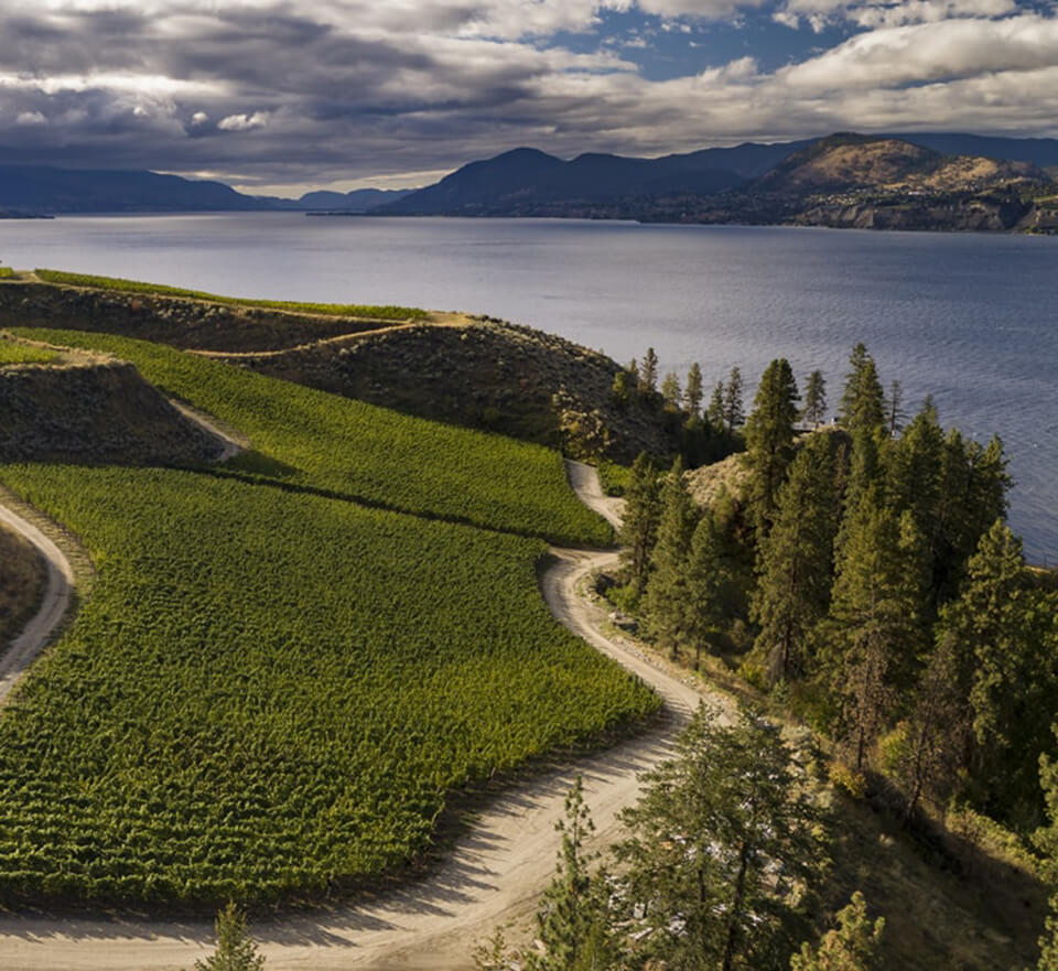landscape view of vineyard and mountains of Martin's Lane Winery in British Columbia