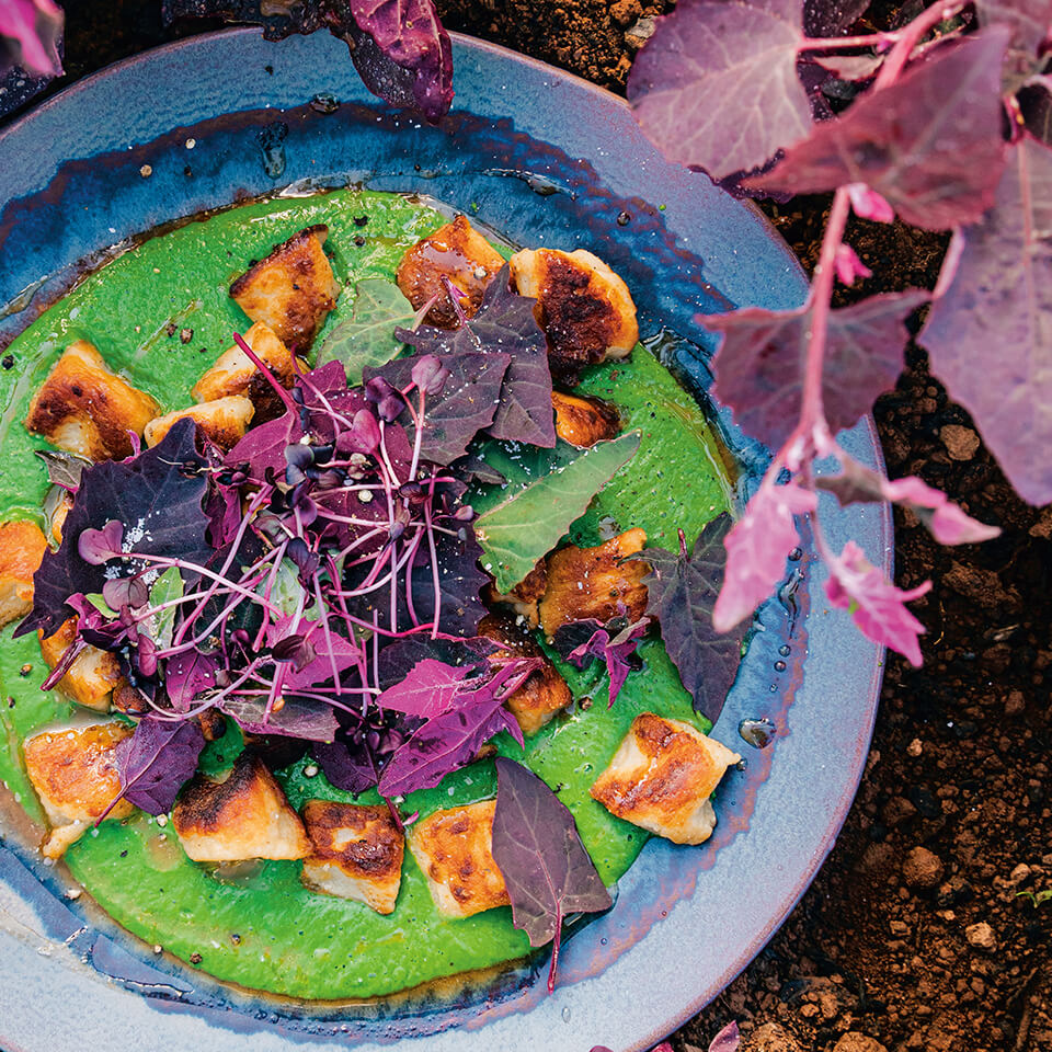 A dish of gnocchi with bright green sauce in the dirt outdoors