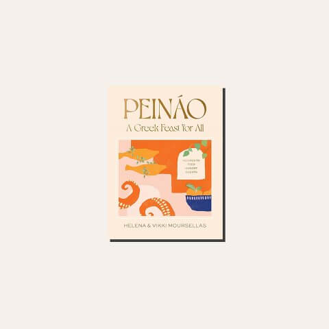 A book cover in a light frame