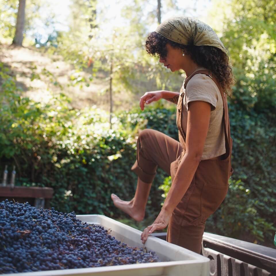 A woman standing outdoors in front of a large bin of grapes