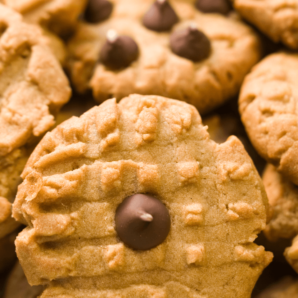 peanut butter cookies with chocolate chips