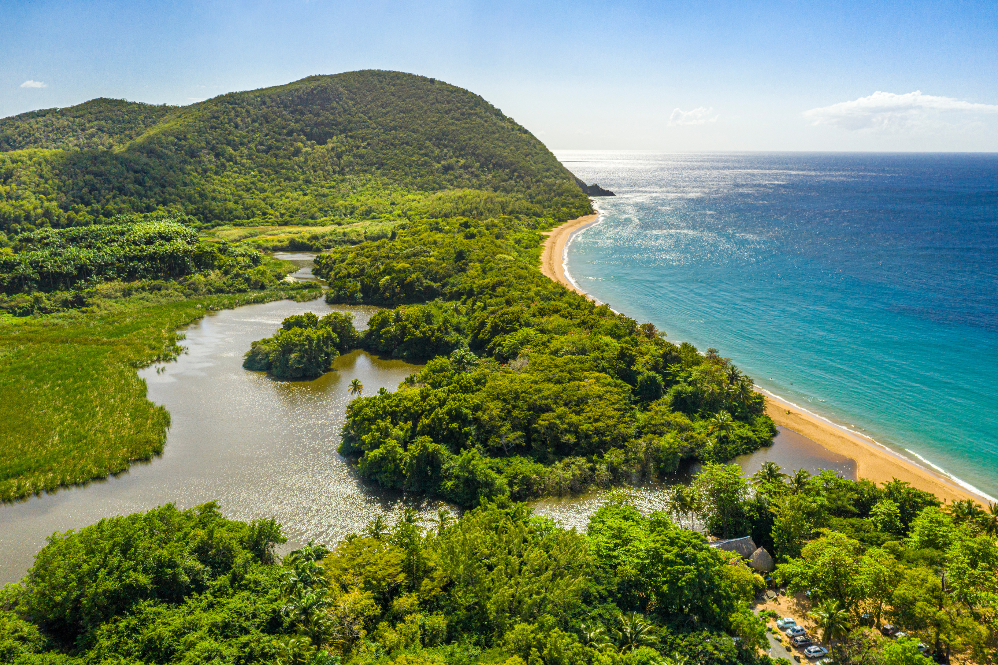 Landscape photo of the Guadeloupe Islands Grand Anse Beach from the Tourism Board