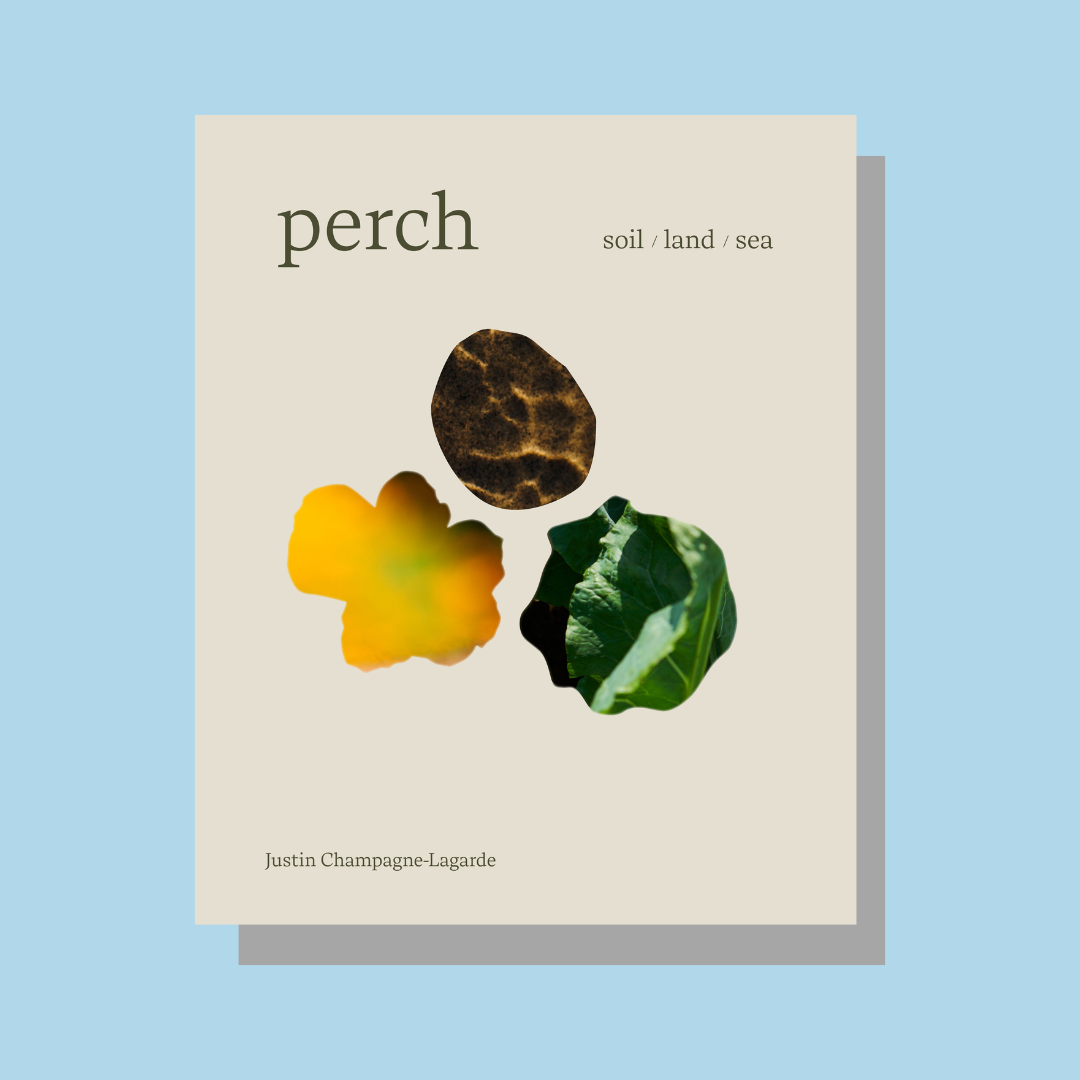Cover of Perch cookbook on a blue background.