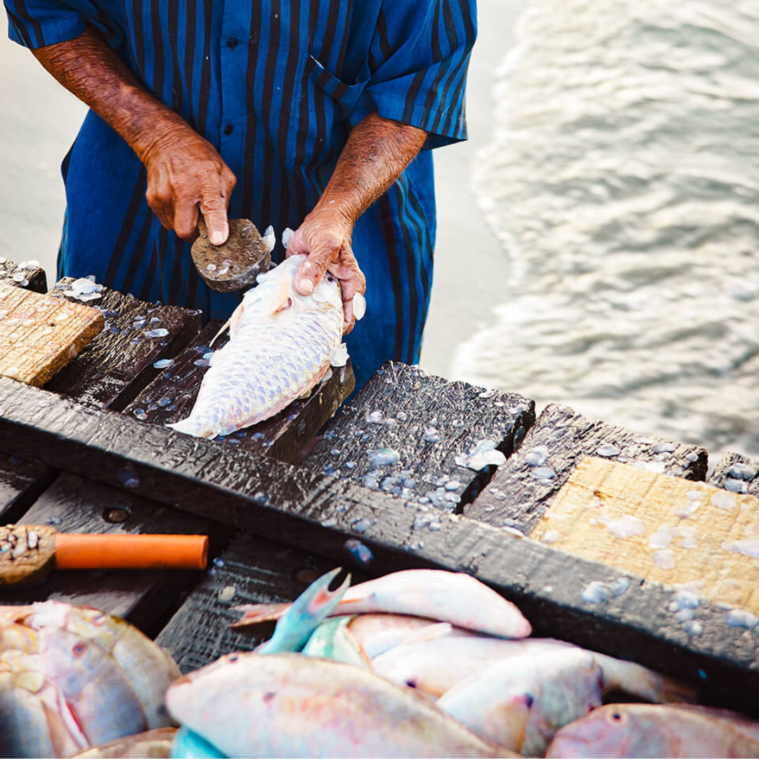 Two hands using a tool to cut a fish while water pushes onto the sand in the background.
