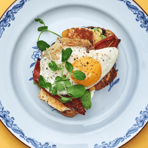A piece of toast topped with fried egg and halloumi plus pea shoots on a plate.