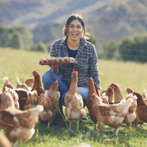 A smiling woman holding a carton of eggs in an open field, surrounded by chickens.