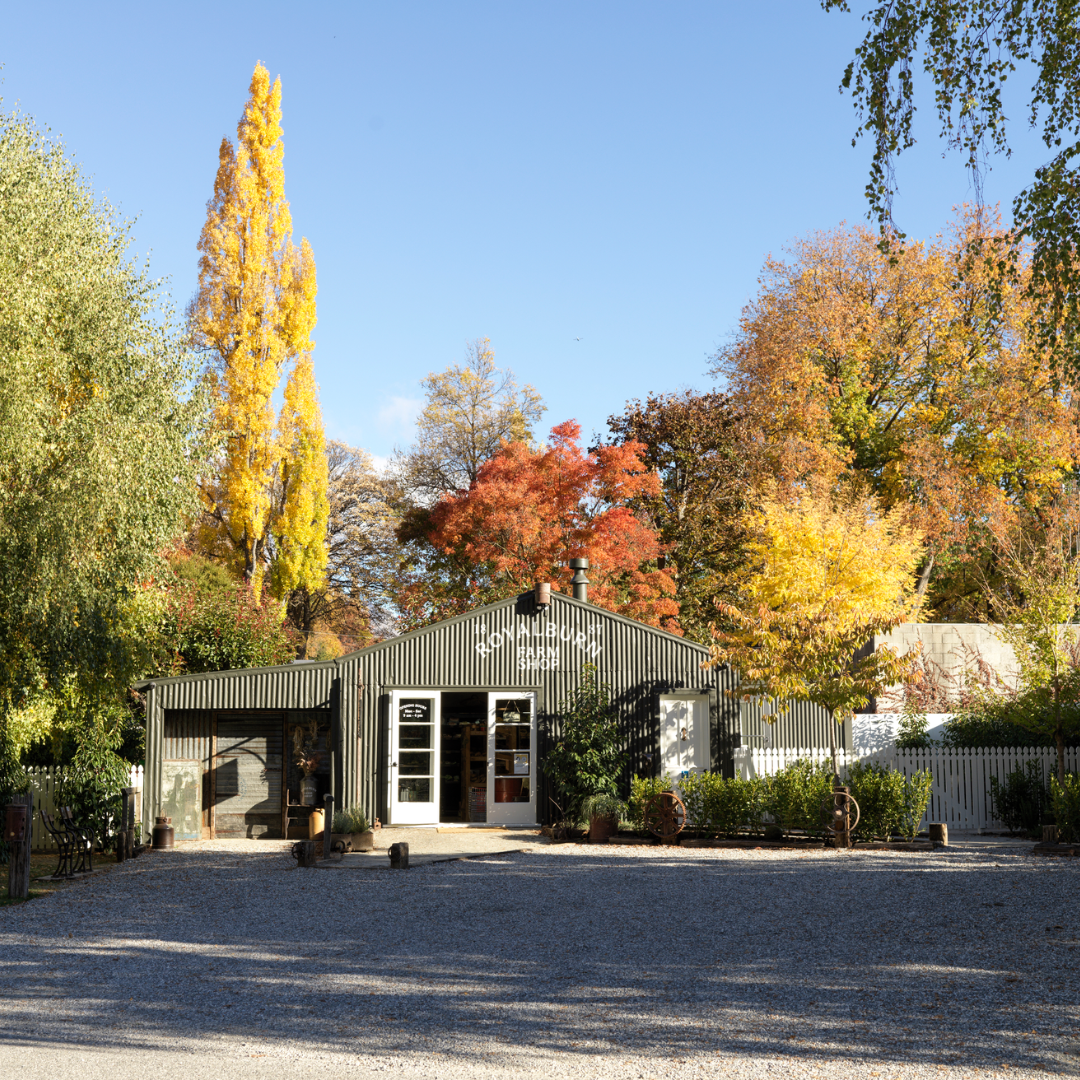 A small building with the words "Royalburn Farm Shop" written on the front, surrounded by a vareity of trees with orange and yellow leaves. 