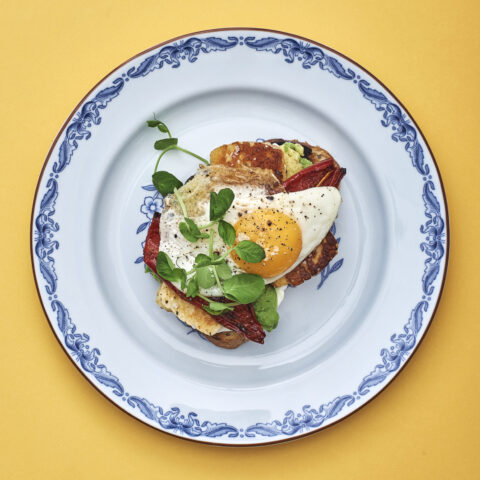 A piece of toast topped with slices of halloumi, a fried egg and pea shoots on a plate.