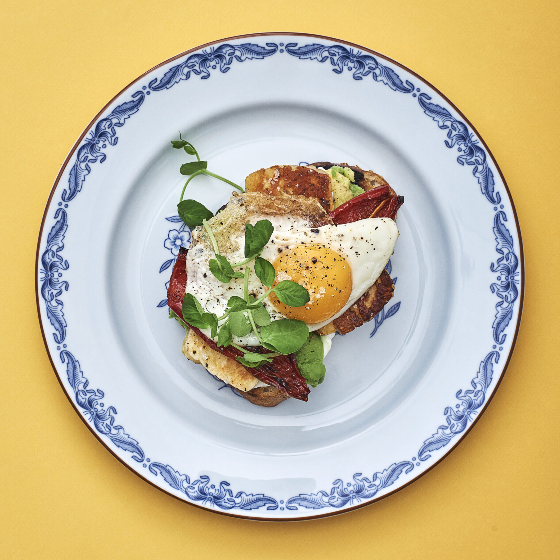A piece of toast topped with slices of halloumi, a fried egg and pea shoots on a plate.