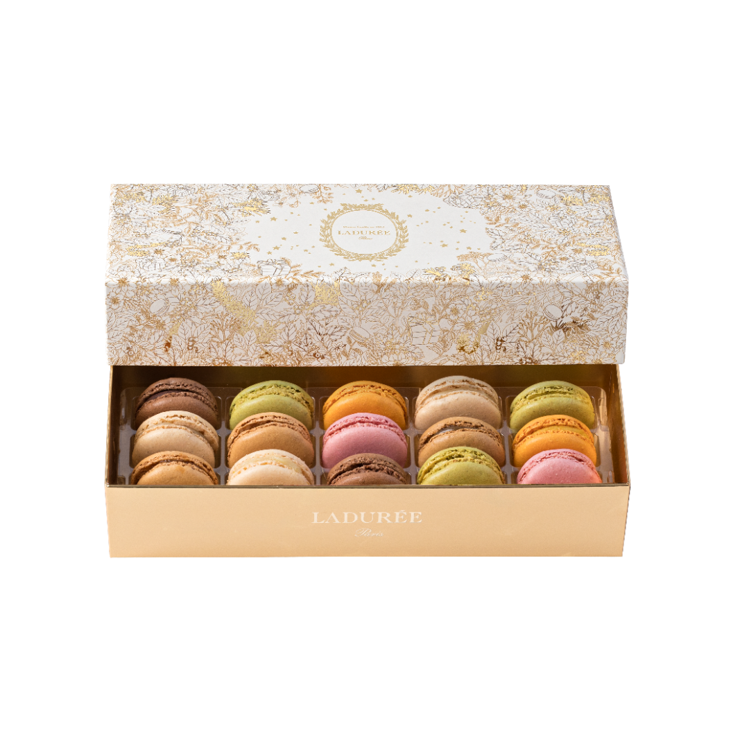 Opened paper box showing fifteen colourful macarons in five rows.