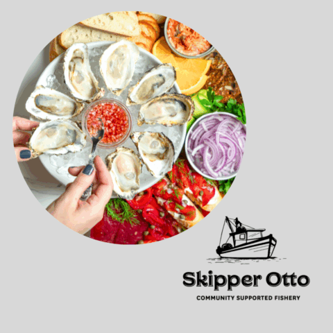Colourful image of seafood and oysters