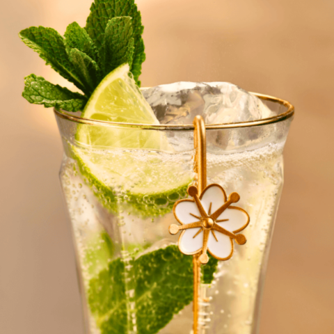 Hugo St.Germain Elderflower Spritz